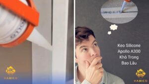 Keo Silicone Apollo A300 Khô Trong Bao Lâu